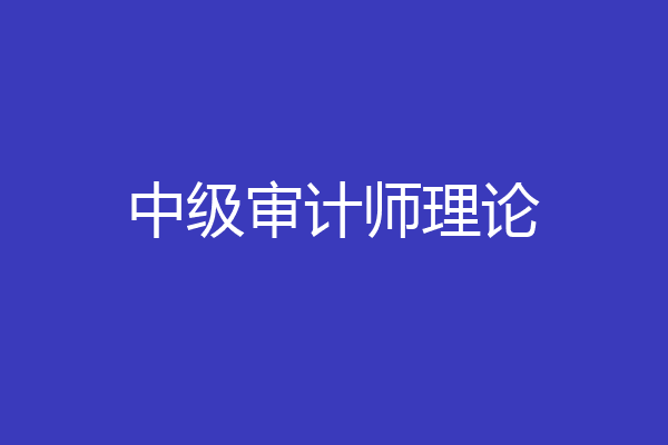 中级审计师理论