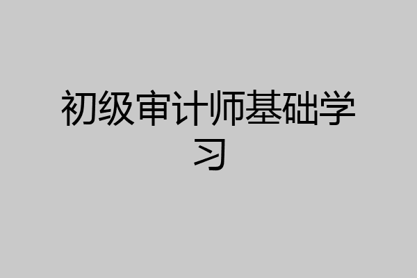 初级审计师基础学习