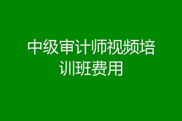 中级审计师视频培训班费用
