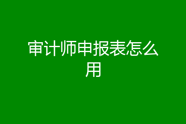 审计师申报表怎么用