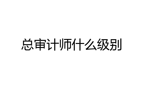 总审计师什么级别