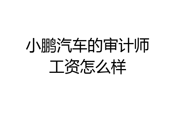小鹏汽车的审计师工资怎么样