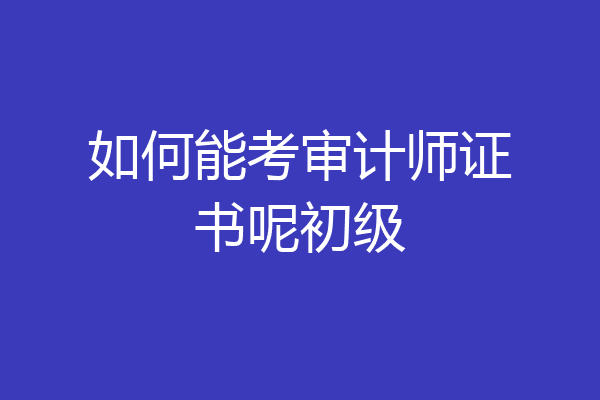 如何能考审计师证书呢初级