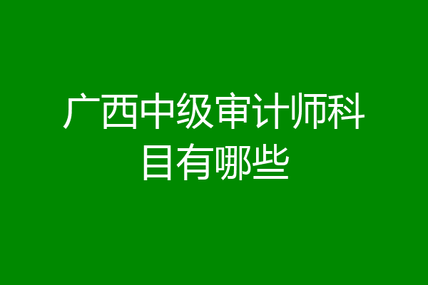 广西中级审计师科目有哪些