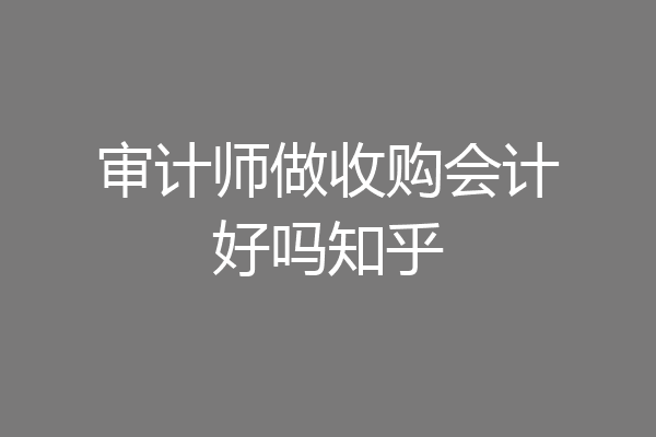 审计师做收购会计好吗知乎
