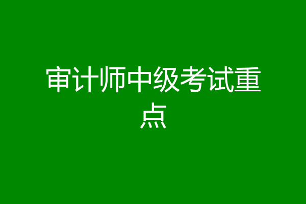审计师中级考试重点