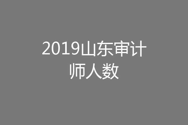 2019山东审计师人数