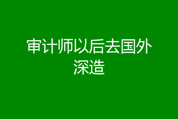 审计师以后去国外深造