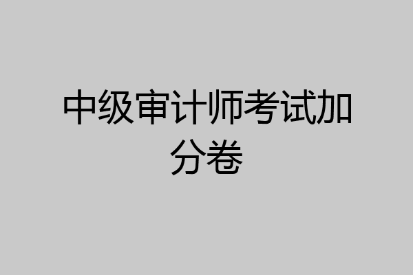 中级审计师考试加分卷