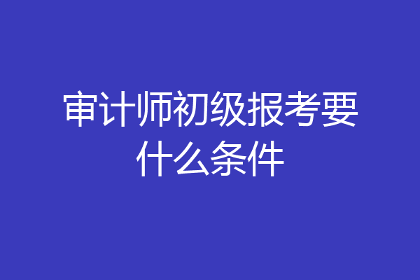 审计师初级报考要什么条件