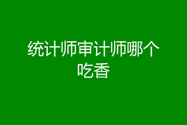 统计师审计师哪个吃香