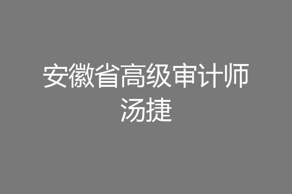安徽省高级审计师汤捷