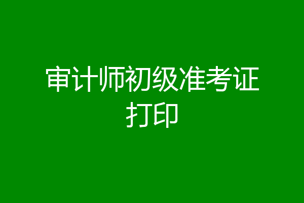 审计师初级准考证打印
