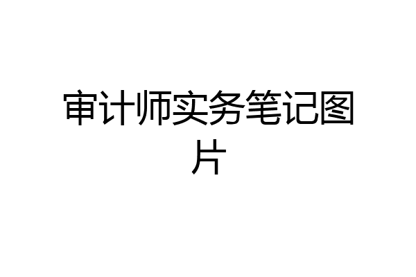 审计师实务笔记图片
