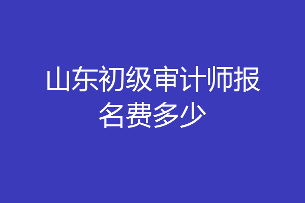 山东初级审计师报名费多少