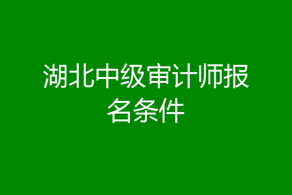 湖北中级审计师报名条件