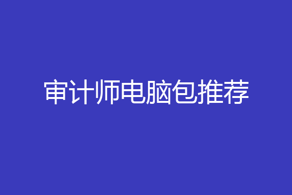 审计师电脑包推荐