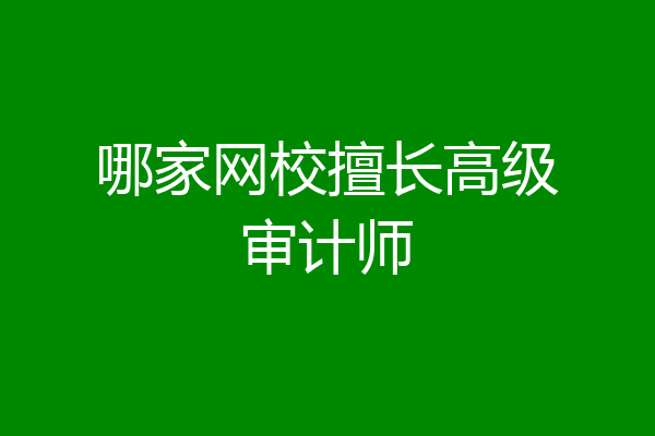 哪家网校擅长高级审计师