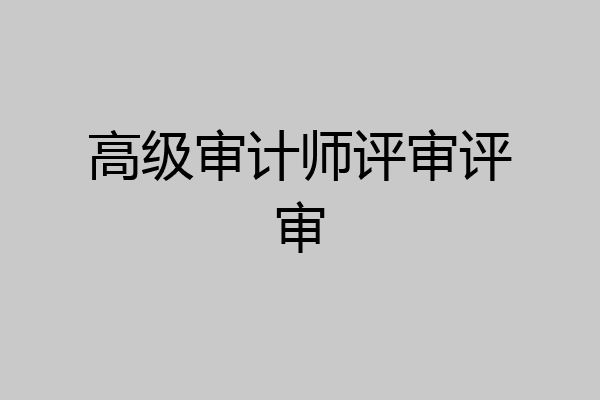 高级审计师评审评审