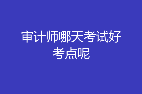 审计师哪天考试好考点呢