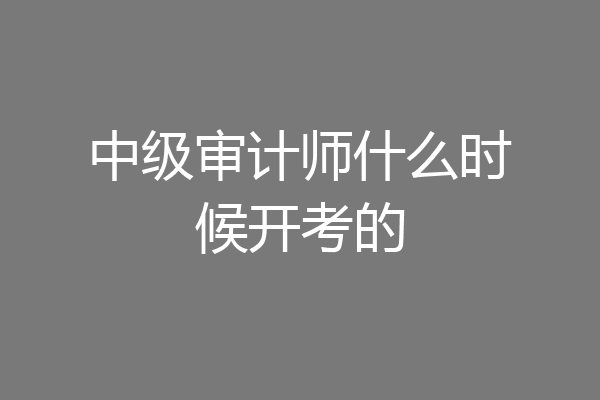 中级审计师什么时候开考的