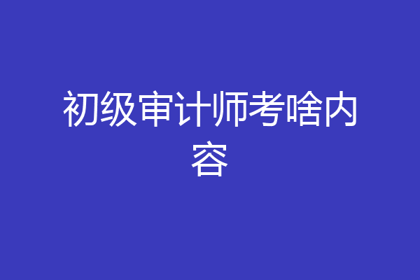 初级审计师考啥内容