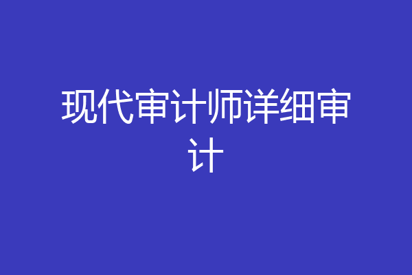现代审计师详细审计