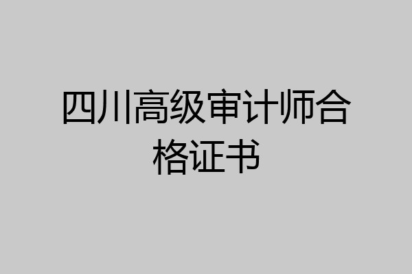 四川高级审计师合格证书