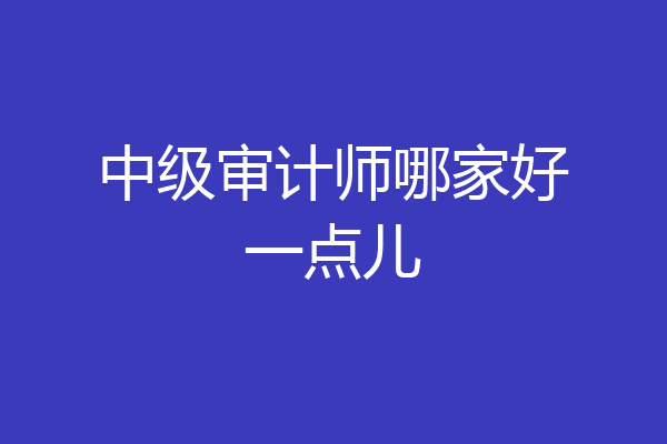 中级审计师哪家好一点儿