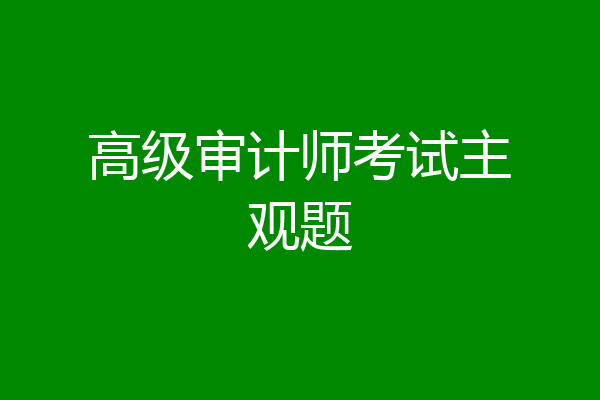 高级审计师考试主观题