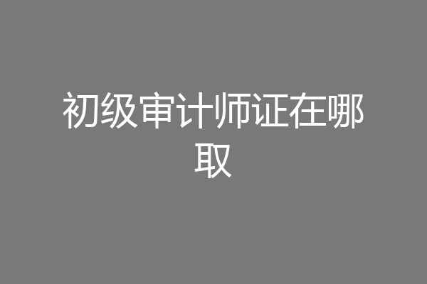 初级审计师证在哪取