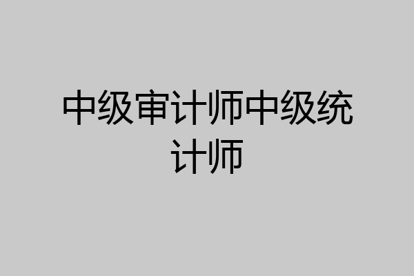 中级审计师中级统计师