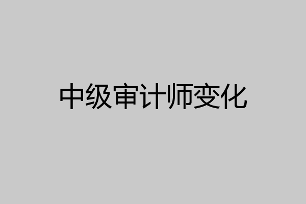 中级审计师变化