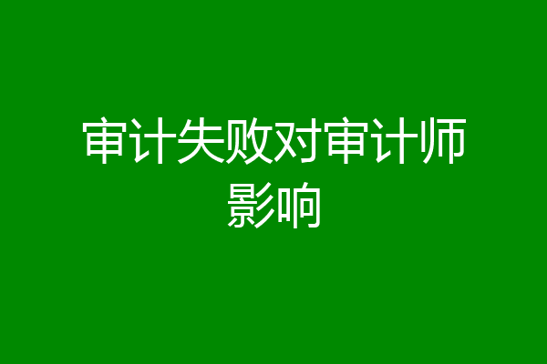 审计失败对审计师影响