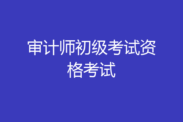 审计师初级考试资格考试