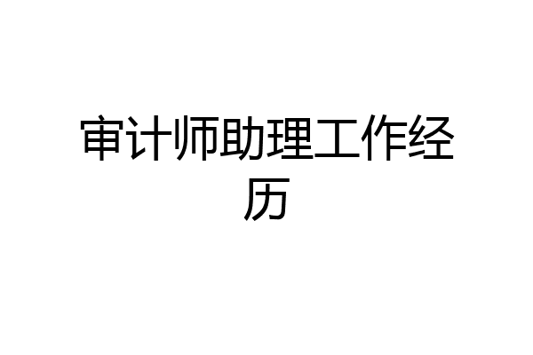 审计师助理工作经历