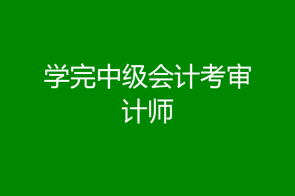 学完中级会计考审计师