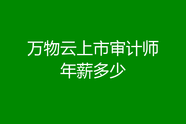 万物云上市审计师年薪多少