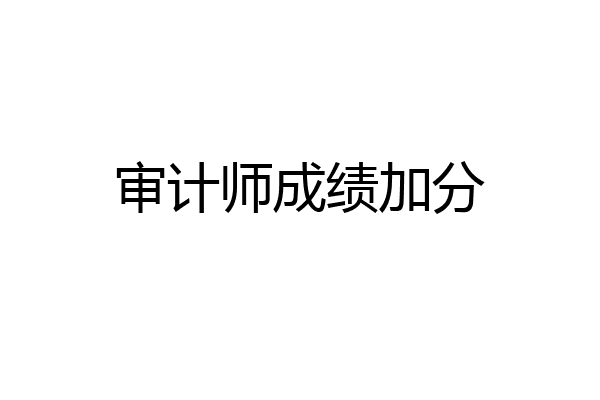 审计师成绩加分