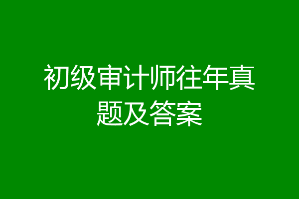 初级审计师往年真题及答案