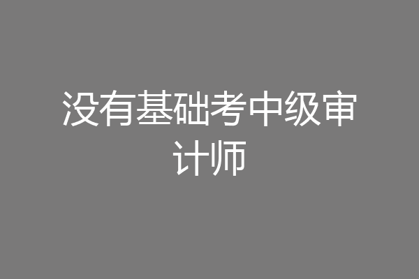 没有基础考中级审计师