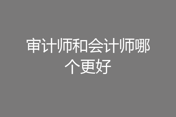 审计师和会计师哪个更好