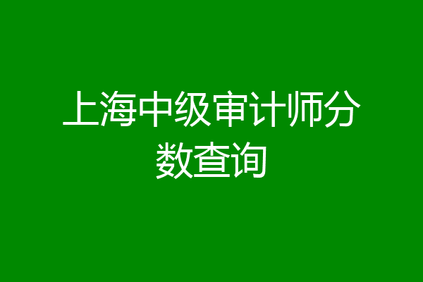 上海中级审计师分数查询