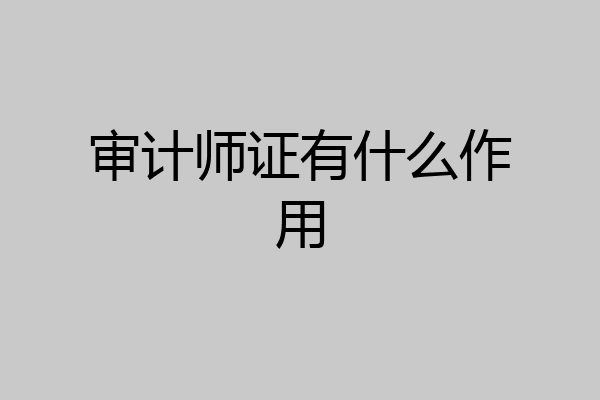 审计师证有什么作用