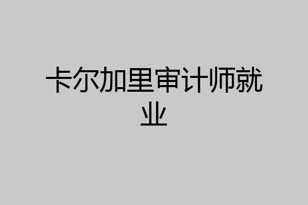 卡尔加里审计师就业