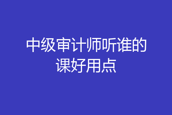 中级审计师听谁的课好用点