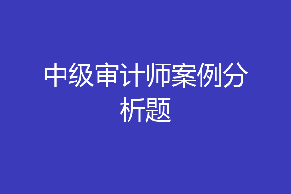 中级审计师案例分析题