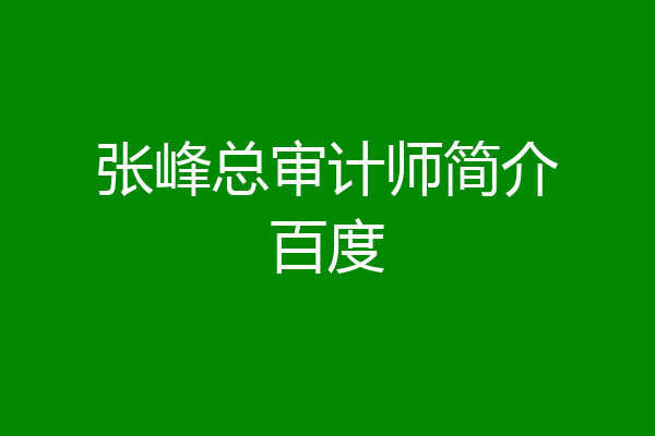 张峰总审计师简介百度