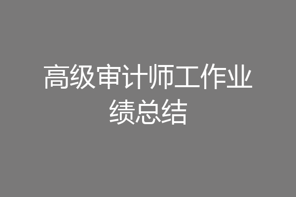 高级审计师工作业绩总结