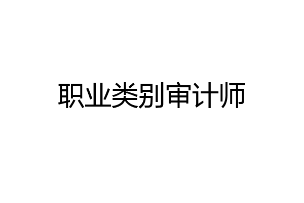 职业类别审计师